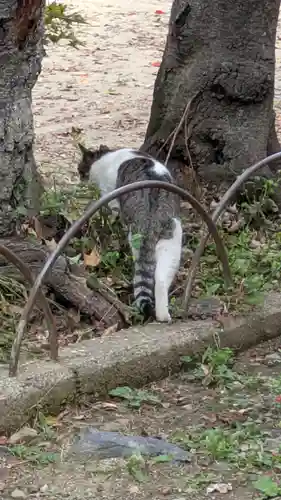 花山稲荷神社(京都府)
