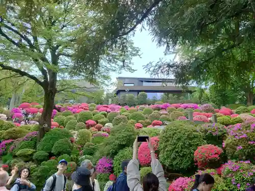 根津神社(東京都)