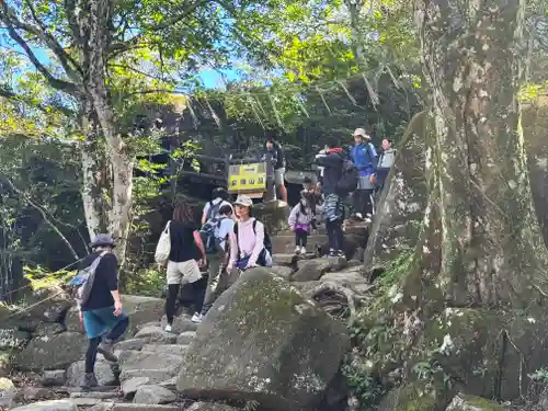 筑波山神社 女体山御本殿(茨城県)