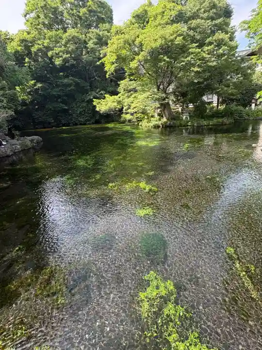 富士山本宮浅間大社の{uncategorized: "未分類", other: "その他", undefined: "問題あり", building: "その他建物", grave: "お墓", sacred_gate: "鳥居", guardian: "狛犬", statue: "像", buddha: "仏像", history: "歴史", nature: "自然", garden: "庭園", animal: "動物", pagoda: "塔", temizu: "手水舎", mountain_gate: "山門・神門", sanctuary: "本殿・本堂", subordinate: "末社・摂社", art: "芸術", scenery: "景色", jizo: "地蔵", ema: "絵馬", goshuin: "御朱印", omikuji: "おみくじ", items: "授与品その他", amulet: "お守り", goshuincho: "御朱印帳", eats: "食事", festival: "お祭り", votive_dance: "神楽", shichigosan: "七五三参", wedding: "結婚式", experience: "体験その他", initially: "初詣", around: "周辺", anti_infection: "感染症対策"}