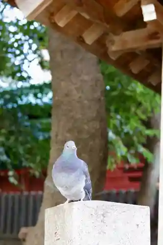 金王八幡宮(東京都)