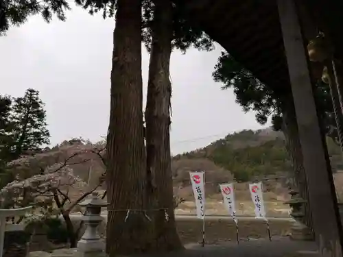 高司神社〜むすびの神の鎮まる社〜の自然