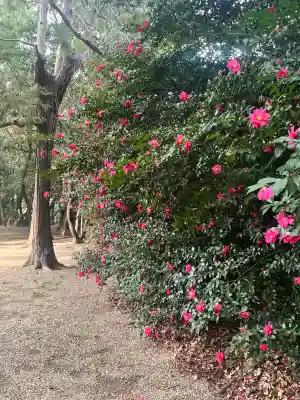 野々宮神社(大阪府)