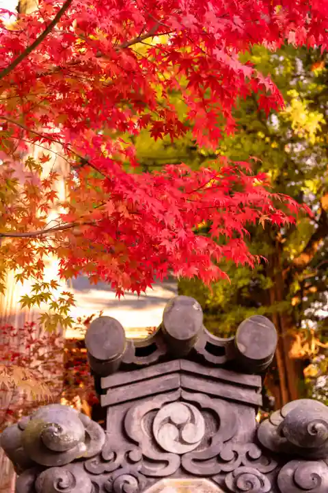 山家神社(長野県)