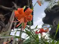 秩父札所十三番 慈眼寺(埼玉県)