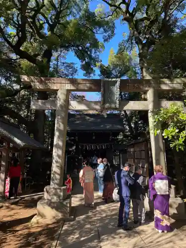 赤坂氷川神社の鳥居