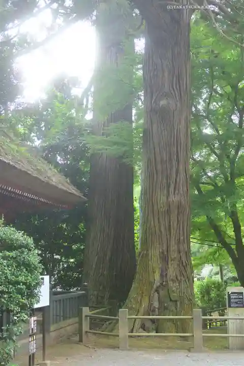 宝城坊(神奈川県)