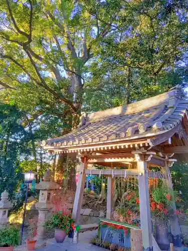 東海市熊野神社の手水舎