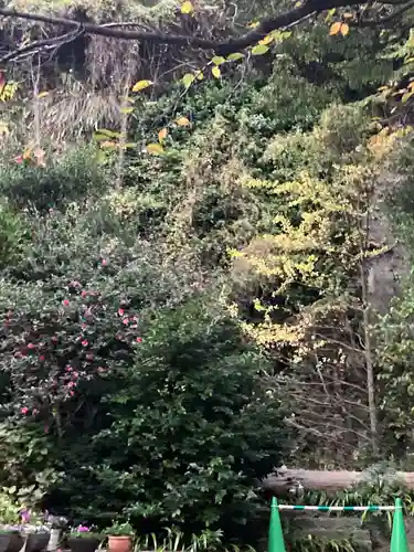 大綱金刀比羅神社の自然