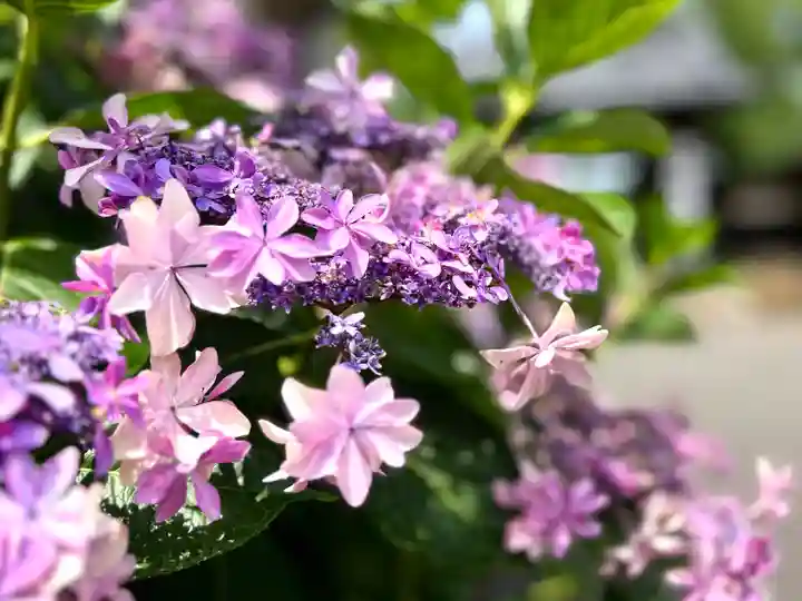 喜多院(埼玉県)