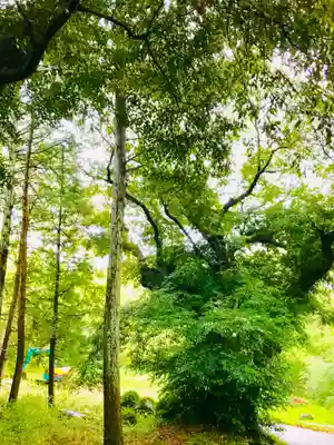 飯名神社の庭園