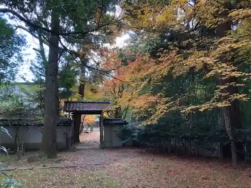 國泰寺の山門