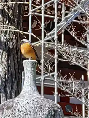 東身延藻原寺(千葉県)