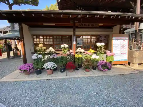 葛井寺のその他建物