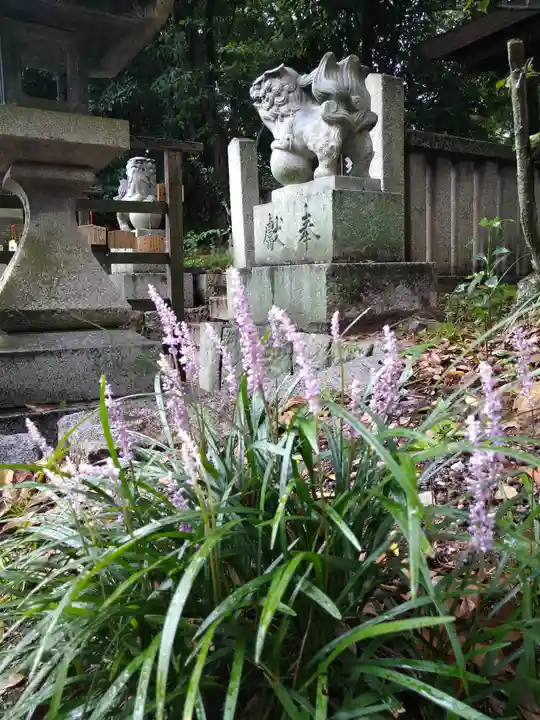阿智神社の自然