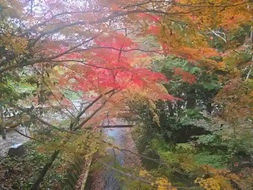 小椋神社(滋賀県)