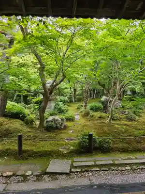 圓光寺(京都府)
