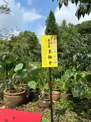 東輪寺(栃木県)