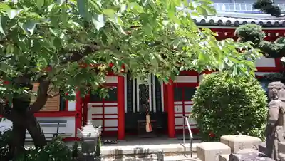 真光院(大阪府)