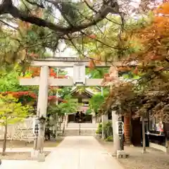 彌彦神社　(伊夜日子神社)(北海道)