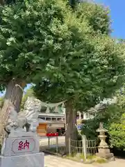 亀ケ池八幡宮の建物その他