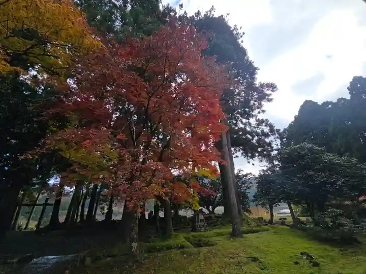 興聖寺(滋賀県)