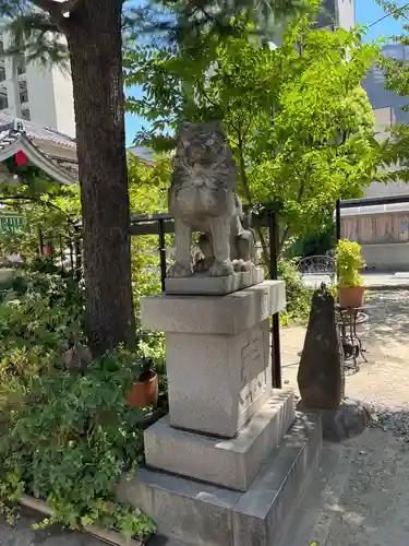 今戸神社の狛犬