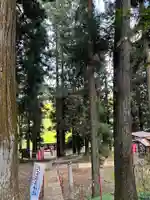 大宮温泉神社の鳥居