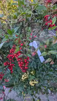 天龍山 誓海寺(愛知県)