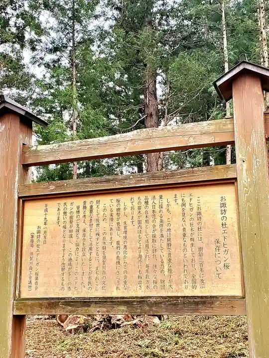神炊館神社 ⁂奥州須賀川総鎮守⁂(福島県)