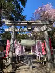 白岡八幡神社(埼玉県)