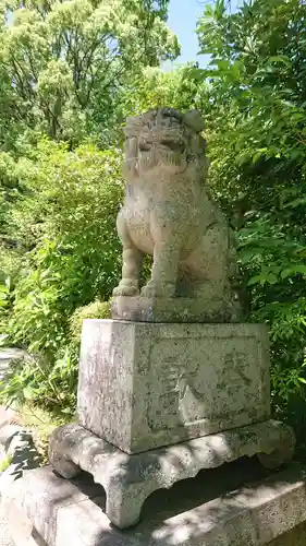 報徳二宮神社の狛犬