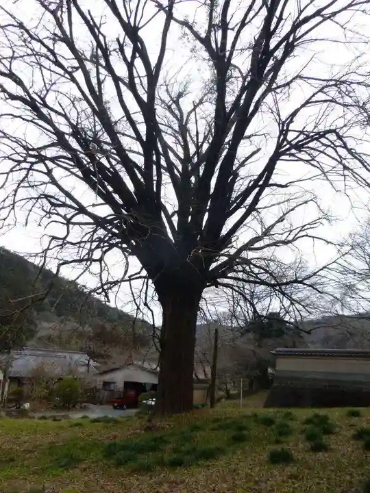 明楽寺(山口県)