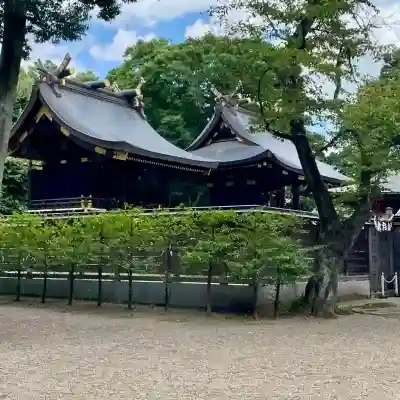 鷲宮神社(埼玉県)