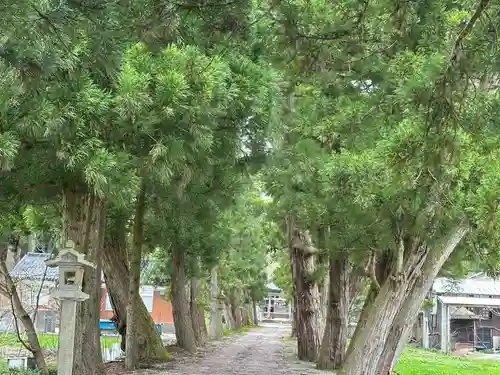 浅井神社(富山県)