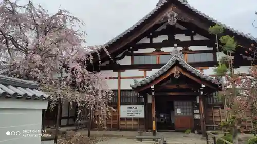 妙蓮寺(京都府)