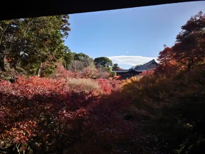 東福禅寺(東福寺)(京都府)