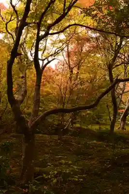 宝筐院(京都府)