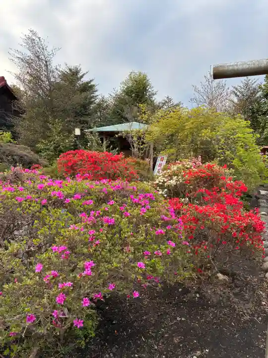 森友瀧尾神社(栃木県)