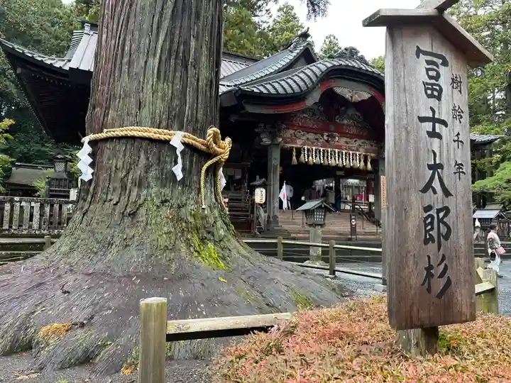 北口本宮冨士浅間神社(山梨県)