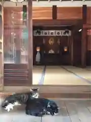 蔵前神社の動物