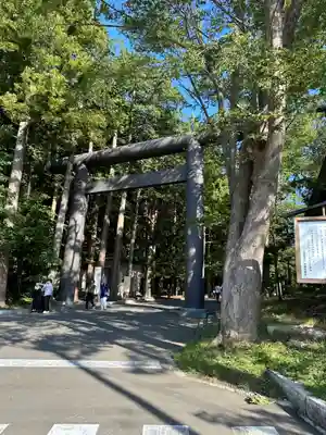 北海道神宮の鳥居