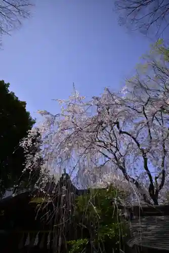 子安神社(東京都)