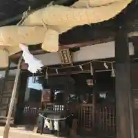 阿智神社の本殿・本堂
