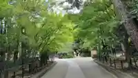 宇治上神社(京都府)