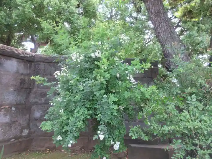 寛永寺開山堂(東京都)