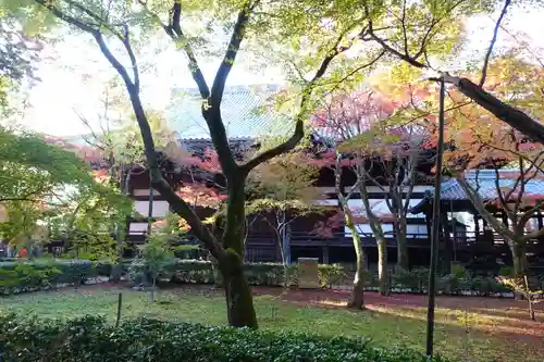 真正極楽寺（真如堂）(京都府)