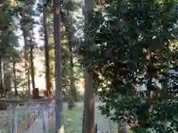 大宮温泉神社(栃木県)