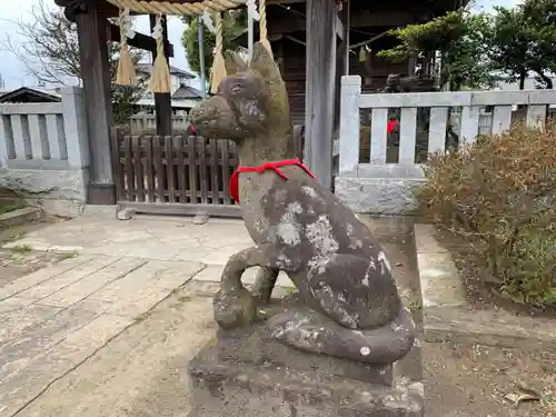 稲荷神社の狛犬