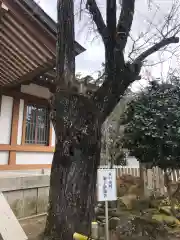 多田神社の自然